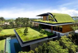 Eco Friendly Roofing
